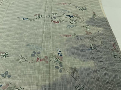 平和屋着物▽訪問着　無双　紗袷　紗×紗　芝花文　正絹　逸品　AABH5711jh