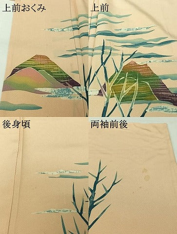 平和屋着物▽訪問着　単衣　風景文　正絹　逸品　AABH5720jh 平和屋着物▽訪問着 単衣 風景文 正絹 逸品 AABH5720jh