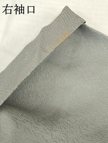 平和屋着物●訪問着　手描き　葡萄蔦草文　暈し染め　金彩　正絹　逸品　未使用　AABH5874ck