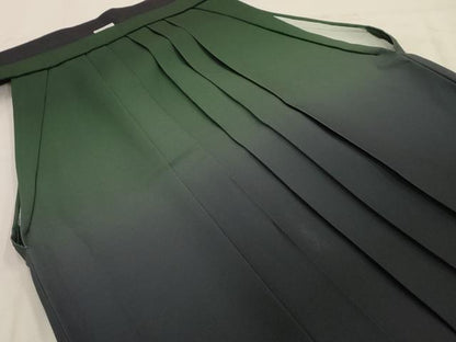 平和屋着物■女性　行灯袴　暈し染め　洗える着物　AABH5940sx