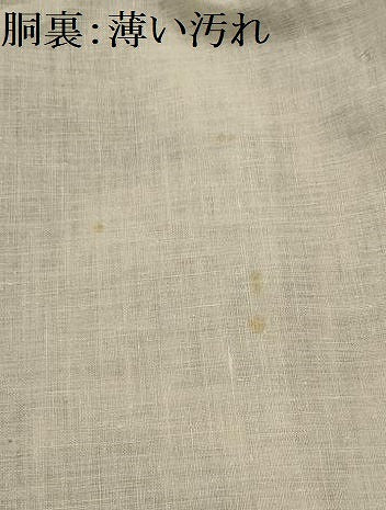 平和屋着物■上質な小紋　草花文　金銀糸　正絹　逸品　AABH5976sx