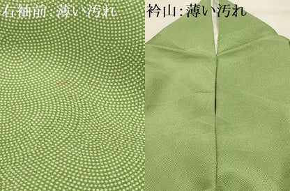 平和屋着物■江戸小紋　鮫小紋柄　正絹　逸品　AABH6038sx