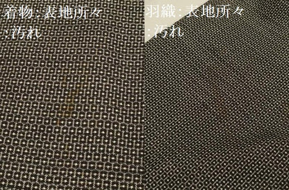 平和屋着物■男性　本場大島紬　アンサンブル　100亀甲　総詰め　正絹　逸品　AABH6056sx