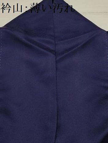 平和屋着物■訪問着　草花文　金糸　金彩　正絹　逸品　AABH6060sx