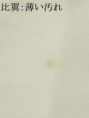 平和屋着物■豪華黒留袖　鬘帯花鳥文　金彩　正絹　逸品　AABH6126sx
