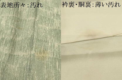 平和屋着物■上質な小紋　竜田川　正絹　逸品　AABH6141sx