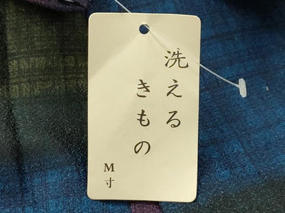 平和屋着物■小紋　横段文　洗える着物　AABH6153sx