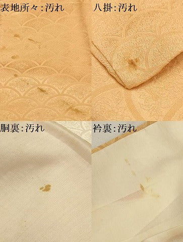 平和屋着物■上質な小紋 花青海波地紋 暈し染め 正絹 逸品 AABH6164sx