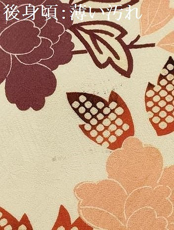 平和屋着物■上質な小紋　枝花文　正絹　逸品　AABH6313sx