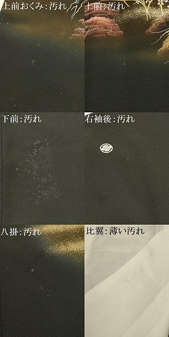 平和屋着物■豪華黒留袖　作家物　風景文　暈し染め　金銀彩　正絹　逸品　AABH6330sx