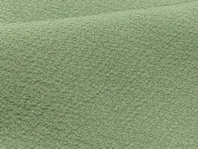 平和屋着物■上質な色無地　作家物　山葵色　正絹　逸品　AABH6346sx