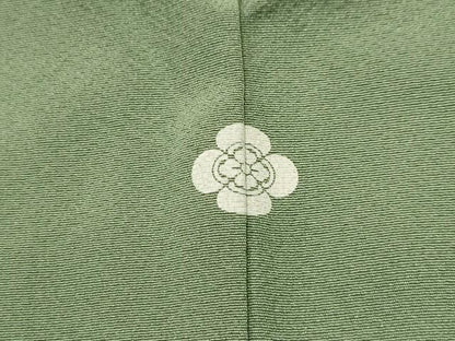平和屋着物■訪問着　蔓帯几帳花文　暈し染め　金銀彩　正絹　逸品　AABH6349sx