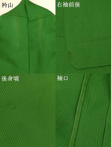 平和屋着物＊夏物 色留袖 縦絽 宝づくし 金彩 正絹 逸品 AABH6408jd