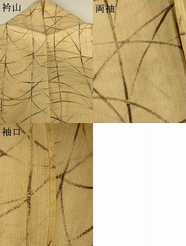 平和屋着物＊夏物 絹芭蕉 小紋 紗 芝 正絹 逸品 AABH6422jd