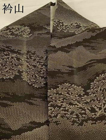 平和屋着物＊夏物 本場大島紬 夏大島 風景文 正絹 逸品 AABH6425jd