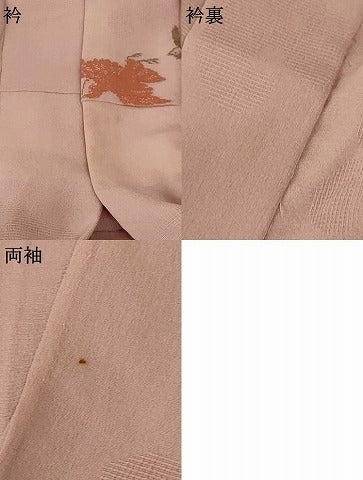 平和屋着物＊夏物 小紋 紗 流水舞鳥文 正絹 逸品 AABH6428jd