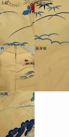 平和屋着物＊夏物　振袖　絽　駒刺繍　風景草花文　銀彩　正絹　逸品　AABH6436jd