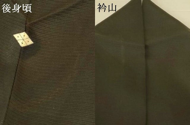 平和屋着物＊夏物　訪問着　絽　風景草花文　正絹　逸品　AABH6466jd