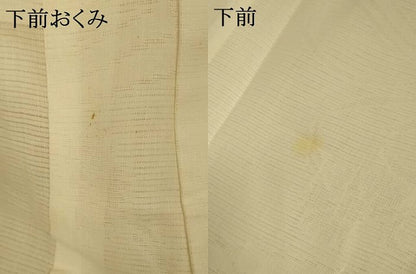 平和屋着物＊夏物 長襦袢 絽 流水草花紋紗 鳥の子色 AABH6478jd