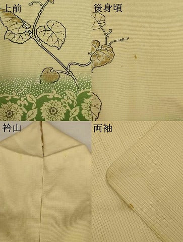 平和屋着物＊夏物 訪問着 絽 草花文 金彩 正絹 逸品 AABH6532jd