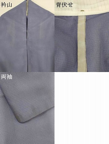 平和屋着物＊夏物 訪問着 絽 風景草花文 暈し染め 洗える着物 AABH6539jd