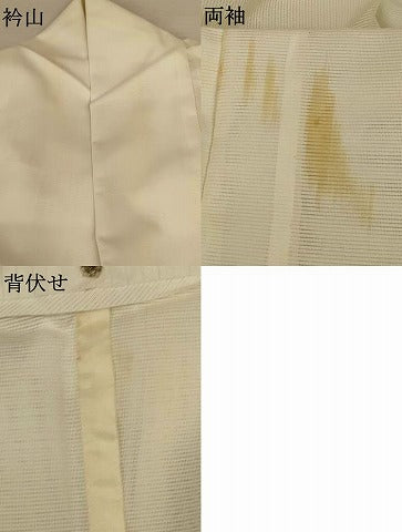 平和屋着物＊夏物 訪問着 絽 花鳥文 暈し染め 洗える着物 AABH6540jd