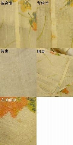 平和屋着物＊夏物 小紋 紗 草花文 AABH6543jd