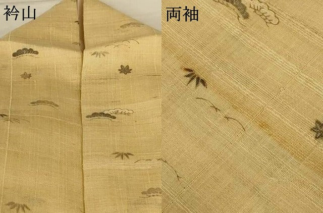 平和屋着物＊夏物 訪問着 生紬 風景松文 正絹 逸品 AABH6560jd