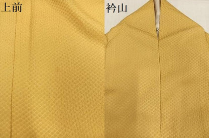 平和屋着物●豪華振袖　駒刺繍　雪輪花文　暈し染め　金彩　正絹　逸品　AABH6819ph