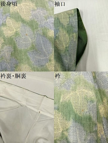 平和屋着物●本場結城紬　重要無形文化財　モロ入り　葉尽くし　正絹　逸品　AABH6846ph