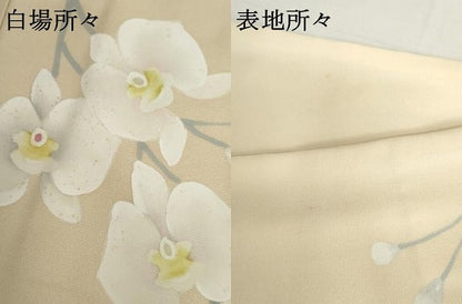 平和屋着物●訪問着　手描き　胡蝶蘭　暈し染め　ロング丈　正絹　逸品　AABH7126cs