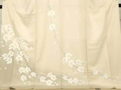 平和屋着物●訪問着　手描き　胡蝶蘭　暈し染め　ロング丈　正絹　逸品　AABH7126cs
