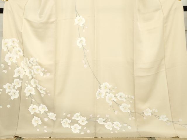 平和屋着物●訪問着　手描き　胡蝶蘭　暈し染め　ロング丈　正絹　逸品　AABH7126cs