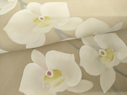 平和屋着物●訪問着　手描き　胡蝶蘭　暈し染め　ロング丈　正絹　逸品　AABH7126cs