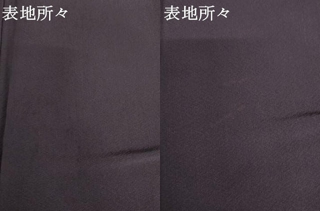 平和屋着物●上質な色無地　江戸紫色　正絹　逸品　AABH7189cs