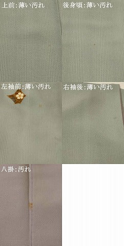 平和屋着物■上質な小紋 花鳥文 金彩 正絹 逸品 AABH7342st