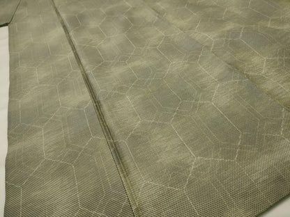 平和屋着物■上質な紬　亀甲文　正絹　逸品　AABH7388st