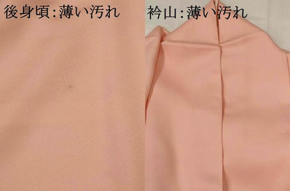 平和屋着物■訪問着 孔雀文 暈し染め 正絹 逸品 AABH7395st
