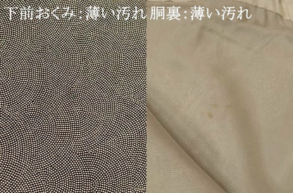 平和屋着物■江戸小紋　鮫小紋柄　正絹　逸品　AABH7420st