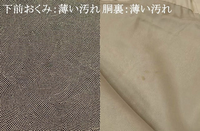 平和屋着物■江戸小紋　鮫小紋柄　正絹　逸品　AABH7420st