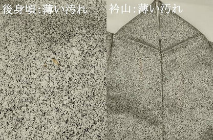 平和屋着物■訪問着 枝梅文 金彩 やまと誂製 正絹 逸品 AABH7428st