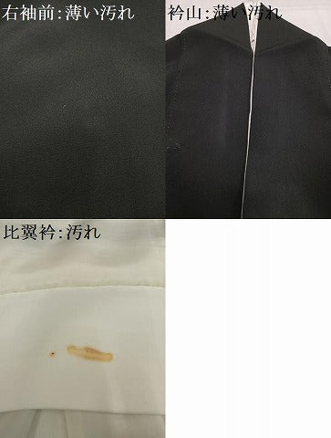 平和屋着物■豪華黒留袖　作家物　鴛鴦飛鶴花松文　暈し染め　金彩　正絹　逸品　AABH7509oa