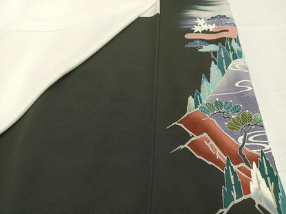 平和屋着物■豪華黒留袖　作家物　鴛鴦飛鶴花松文　暈し染め　金彩　正絹　逸品　AABH7509oa