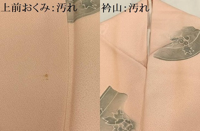 平和屋着物■上質な小紋 地紋起こし 破れ花絵皿文 正絹 逸品 AABH7541oa