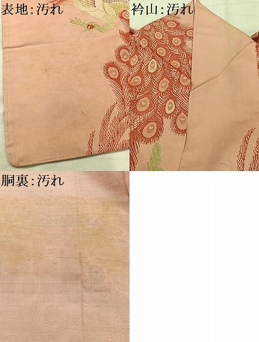 平和屋着物■上質な小紋 寿光織 孔雀文 金糸 正絹 逸品 AABH7575oa