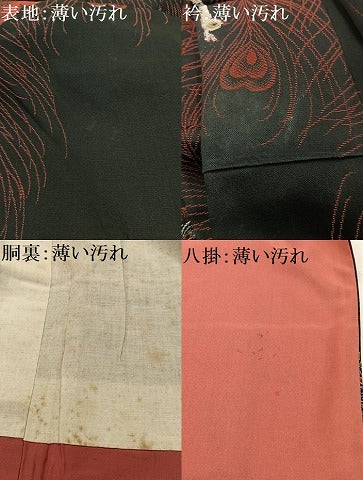 平和屋着物■上質な小紋　寿光織　孔雀花文　黒地　金糸　正絹　逸品　AABH7583oa