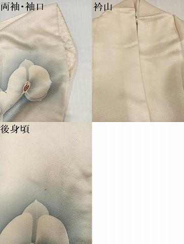 平和屋着物●訪問着　紬地　手描き　胡蝶蘭　正絹　逸品　AABH8250ph
