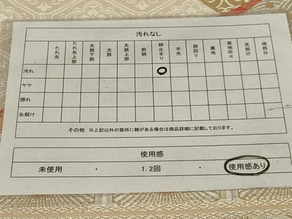 平和屋着物◎六通柄袋帯 唐織 亀甲花鳥文 金銀糸 正絹 逸品 AABH8486ou