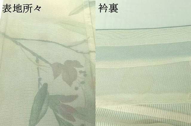 平和屋着物▽訪問着　無双　紗袷　紗×絽　枝花文　三越扱い　正絹　逸品　AABH8616jh