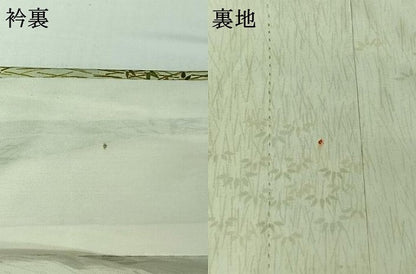 平和屋着物▽本場大島紬　染大島　単衣　草葉文　正絹　逸品　AABH8667jh